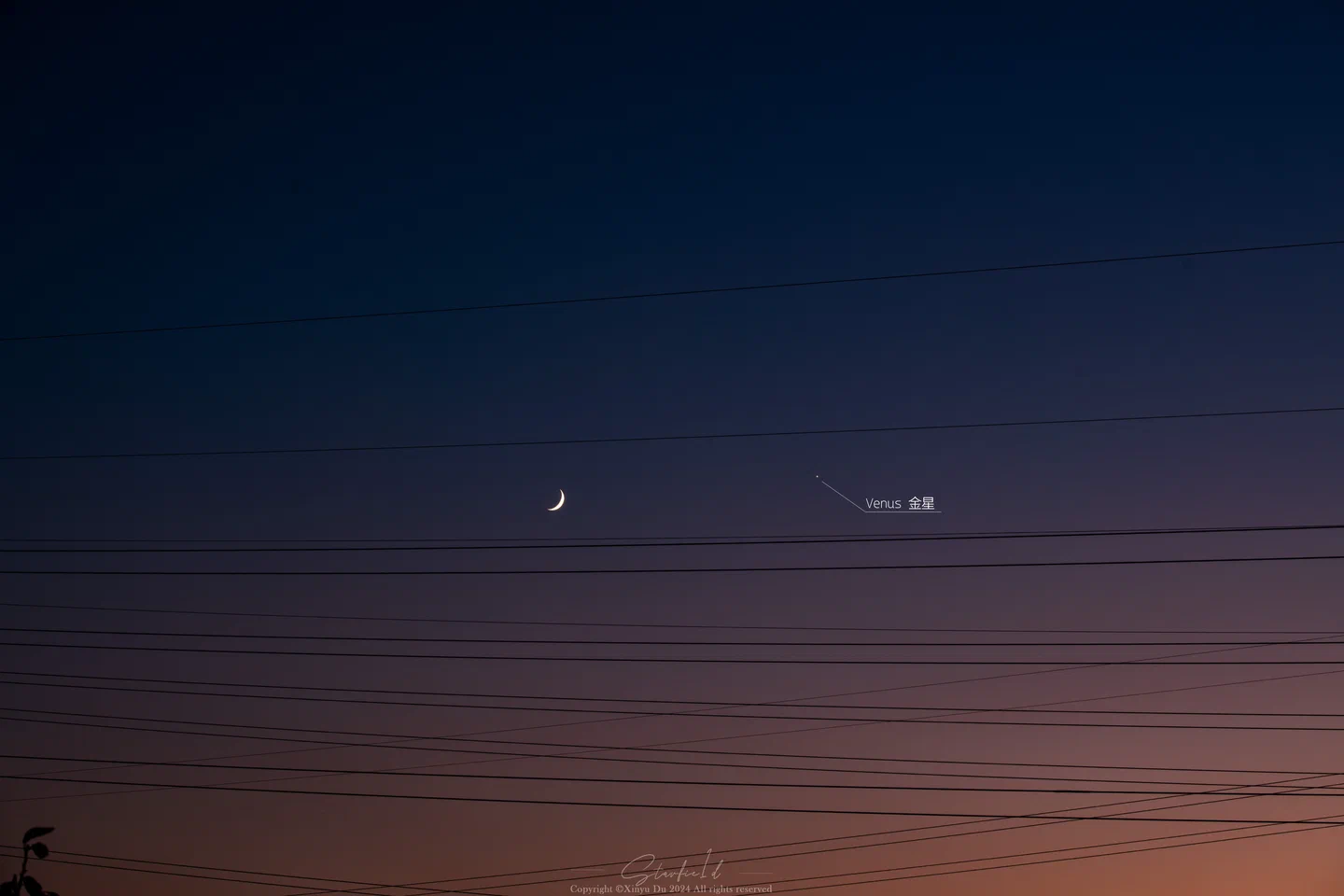Venus and the Crescent Moon