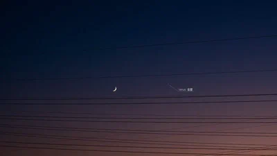 金月掩映：晨昏的信使 featured image